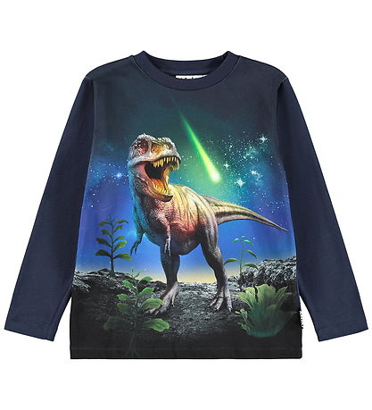 Molo Blouse - Reif - Meteor Dino