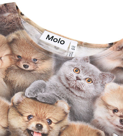 Molo Kleid - Corelie - Fuzzy Fluffy