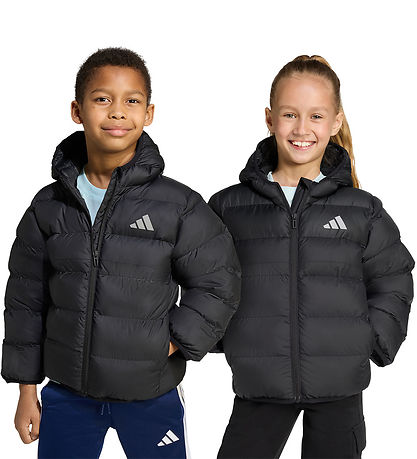 adidas Performance Vadderad jacka - LK SD - Svart