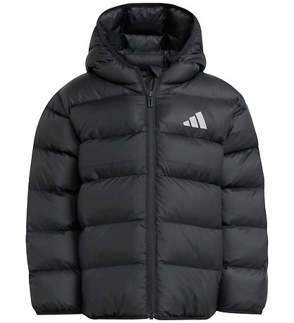 adidas Performance Vadderad jacka - LK SD - Svart