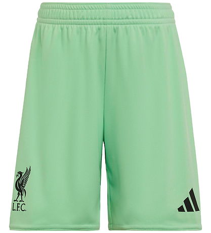 adidas Performance Fótboltabúningur - Markvörður Liverpool 25/26