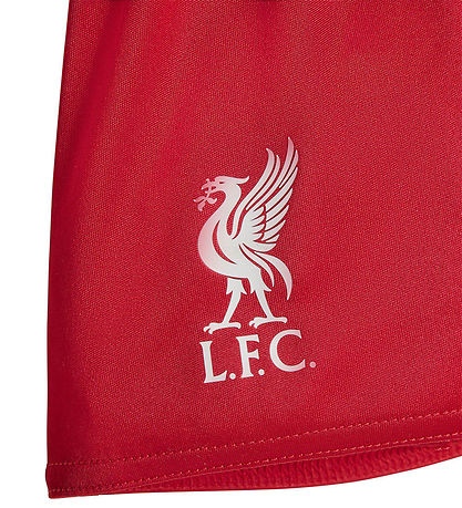 adidas Performance Football Clothing - Liverpool 25/26 Home - St