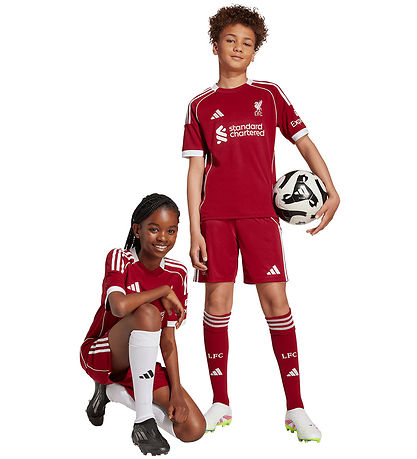 adidas Performance Shortsit - Liverpool 25/26 Koti - Strred
