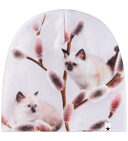Molo Beanie/Gloves - Kaya - Willow CAT
