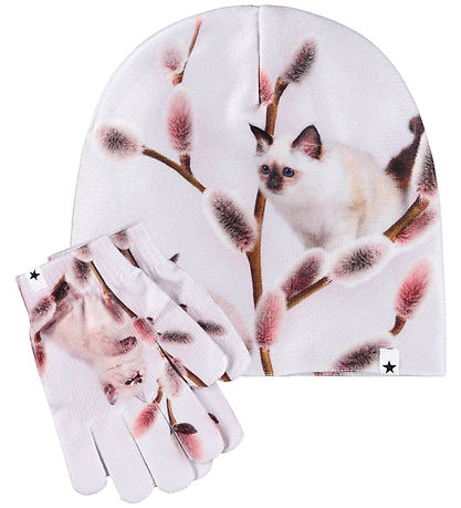 Molo Beanie/Gloves - Kaya - Willow CAT