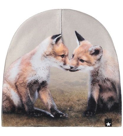 Molo Mütze/Handschuhe - Kaya - Fox Cubs