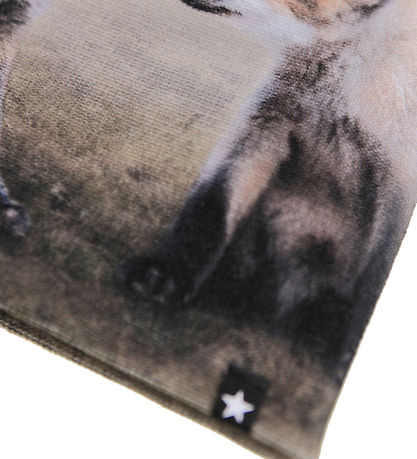 Molo Mütze/Handschuhe - Kaya - Fox Cubs