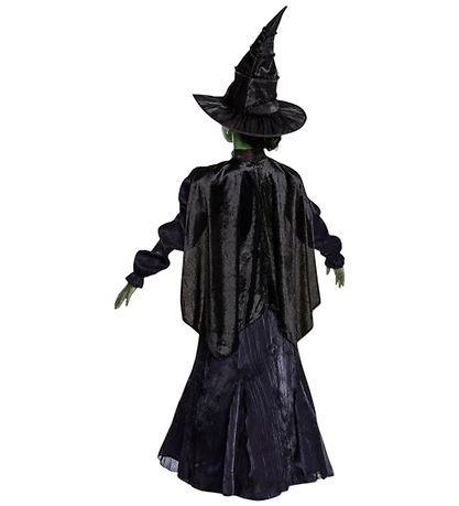 Disguise Kostüm - Wicked - Elphaba