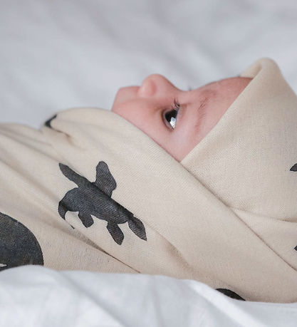 That's Mine Baby Swaddle - 120x120 cm - Jana - Mono Dino
