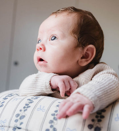 That's Mine Nursing Pillow - Moon - Bell Flower