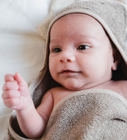 That's Mine Baby towel - 73x63 cm - Moly - Dino