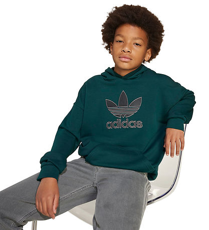 adidas Originals Kapuzenpullover - Aurivy