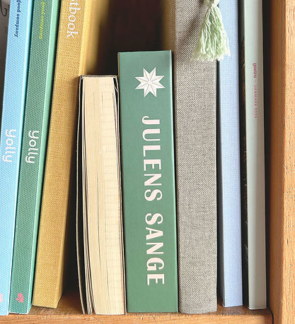 Vissevasse Liederbuch - Weihnachtslieder - Box m. 15 Liederbuch