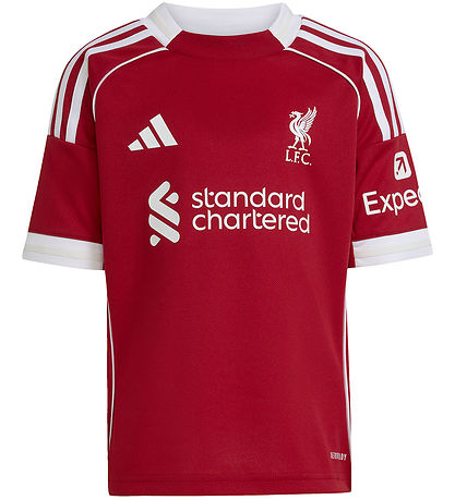 Vêtements de Football adidas Performance - LFC H Mini - Strede