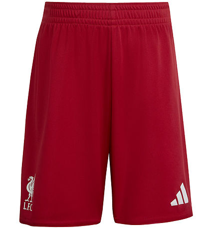 Vêtements de Football adidas Performance - LFC H Mini - Strede