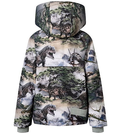 Molo Winterjacke - Castor - Rocky Dino