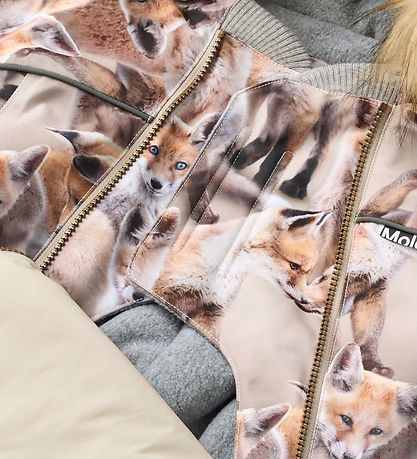 Molo Snowsuit - Pyxis - Playing Foxes w. Fur