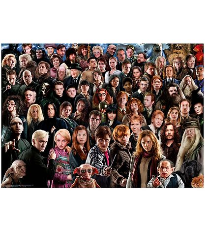 Ravensburger Puzzlespiel - 1000 Teile - Harry Potter