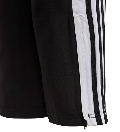 adidas Performance Trainingshose - Squadra 21 Pre - Schwarz/Weiß