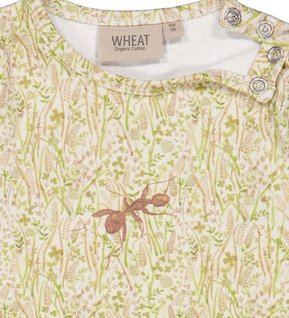 Wheat x Rodinia Samfella L/æ - Takmarkað - Vatnslita graslendi