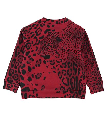 Dolce & Gabbana Peysa - Dýr - Rautt Leo