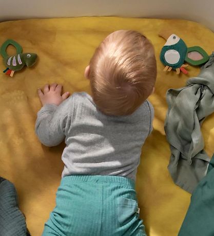 Sebra Activity Rattle - Mini - Chameleon Carley