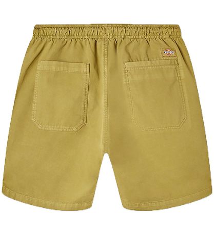 Dickies Shorts - Pelican Stromschnellen - Green Moos