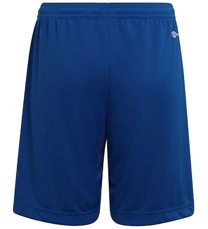 adidas Performance Shorts - Blå/Vit