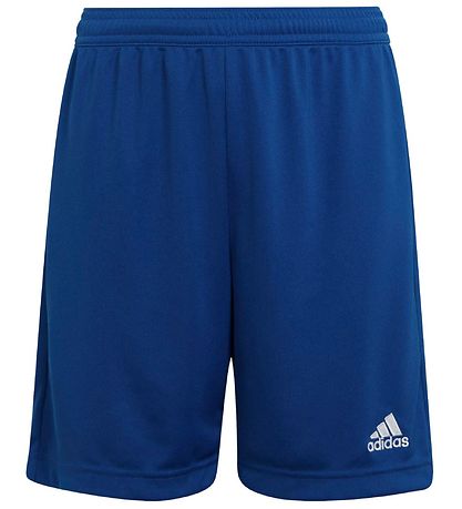 adidas Performance Shorts - Blå/Vit