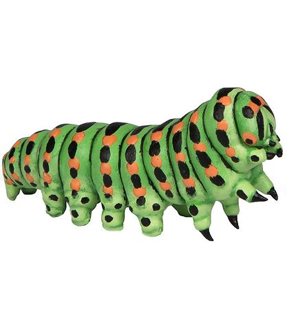 Papo Fiðrildalirfa - L: 5 cm
