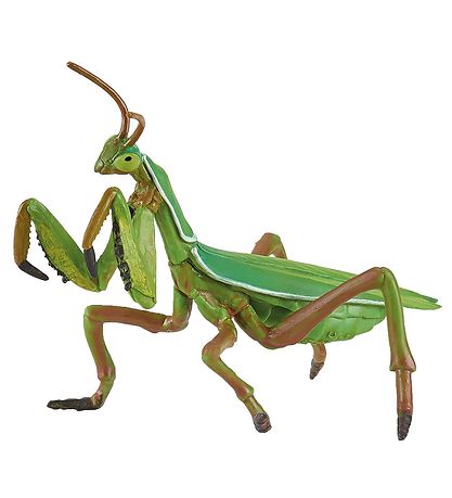 Papo HnéLeir
