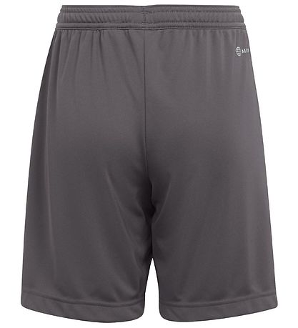 adidas Performance Shorts - Entrada 22 - Grey