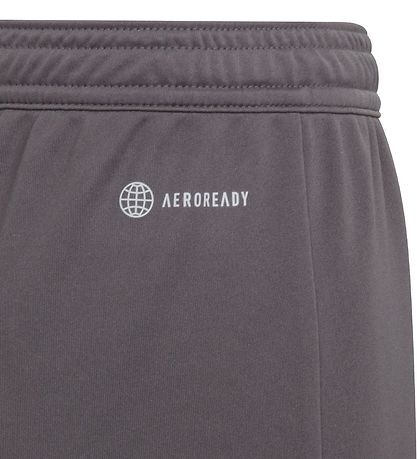 adidas Performance Shorts - Entrada 22 - Grey