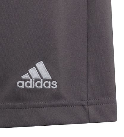 adidas Performance Shorts - Entrada 22 - Grey