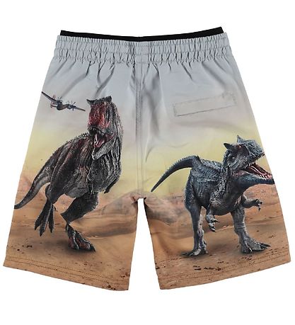Molo simshorts - Badshorts UV50+ - Neal - Dino Scenery