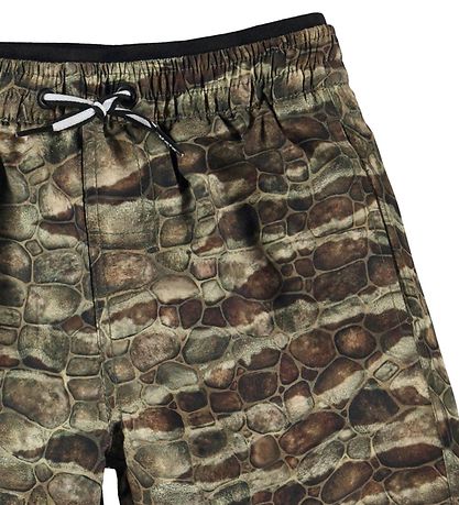 Molo Swim Shorts - Swim Trunks UV50+ - Neal - Dino Texture