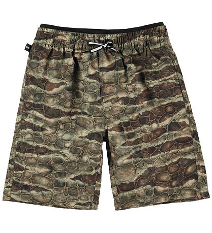 Molo Swim Shorts - Swim Trunks UV50+ - Neal - Dino Texture