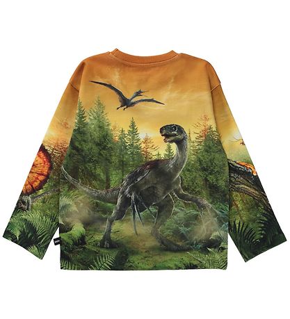 Molo Blouse - Mountoo - Dino Liningest