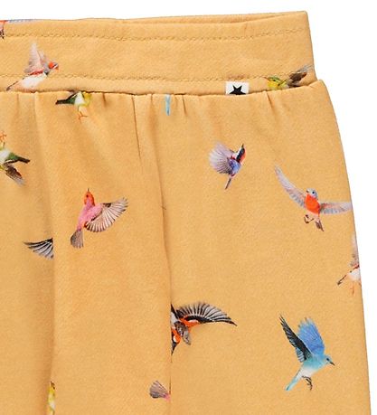 Molo Trousers - Sona - Mini Birds