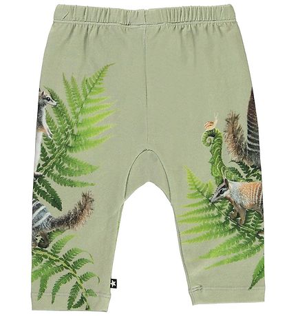 Molo Byxor - Sabb - Fern Climbers