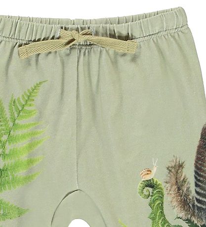 Molo Byxor - Sabb - Fern Climbers