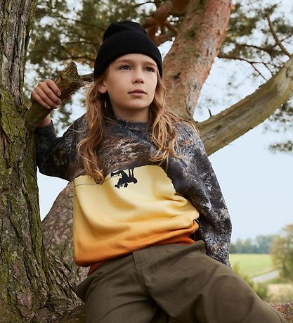 Molo Sweatshirt - Mattis - Climber