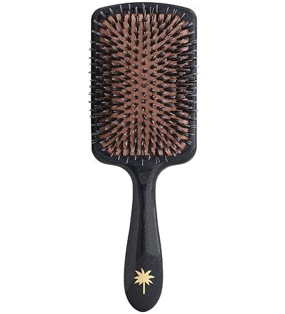 Fan Palm Hairbrush - Large - Big Star