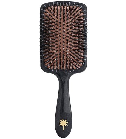 Fan Palm Brosse  Cheveux - Large - Big Star