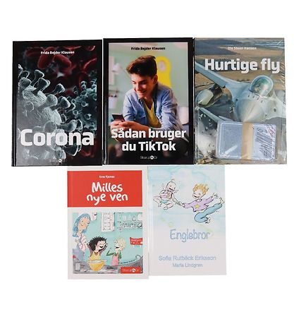 Straarup & Co Book Package - 4th grade - Assort. - 5 Books