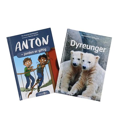 Straarup & Co Book Package - 2nd grade - Assort. - 5 Books
