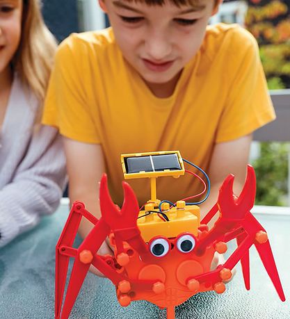 4M Crabe - Green Science - Crabot hybride