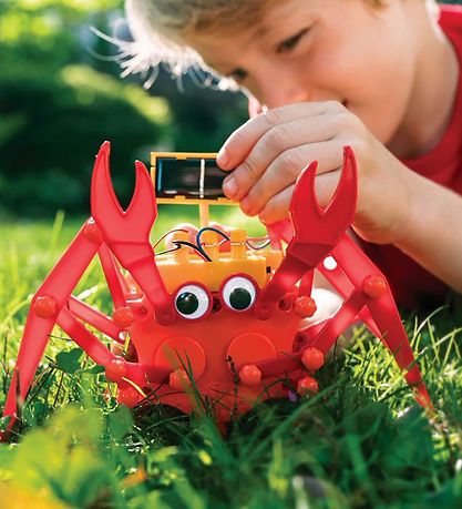 4M Crab - Green Science - Hybrid Crabot