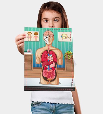 Liniex Science4you Set - Human Bodysuit