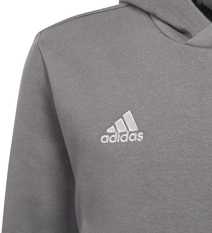 adidas Performance Hettupeysa - Team Grey Fjórir